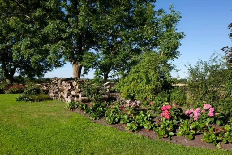 Apartment with garden view