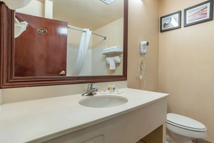 Quadruple Suite