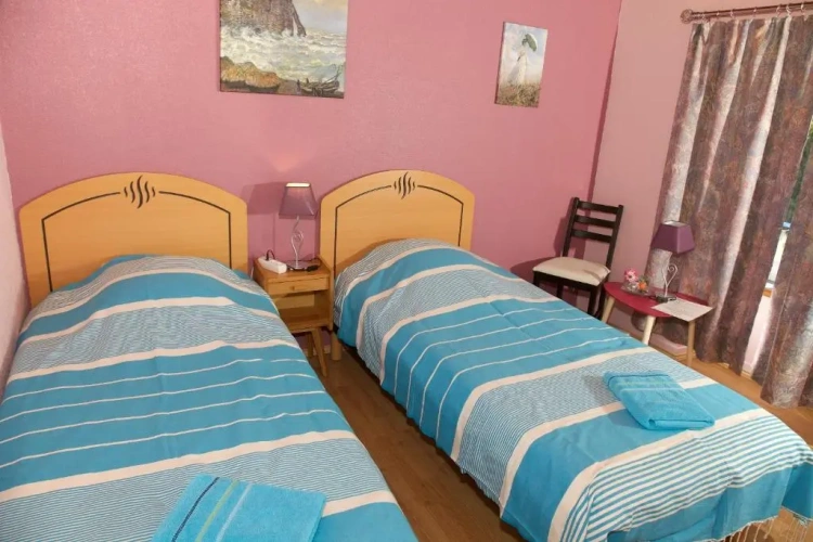 Standard Double room with garden view