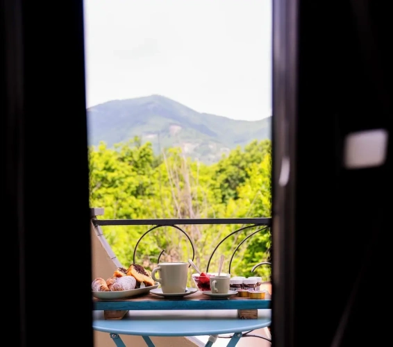 Comfort Double room with garden view