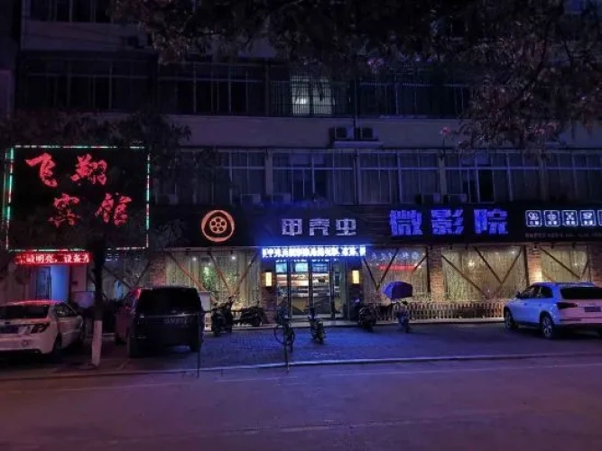 Shucheng Feixiang Hotel