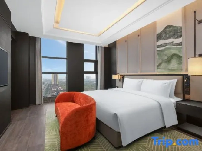 Premium Suite
