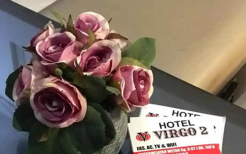 Hotel Virgo 2