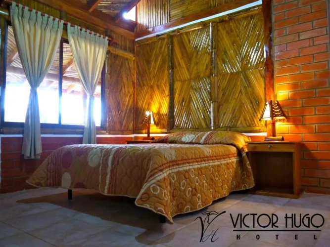 Standard Double room with garden view