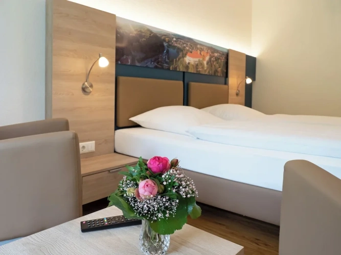 Standard Double room with park view