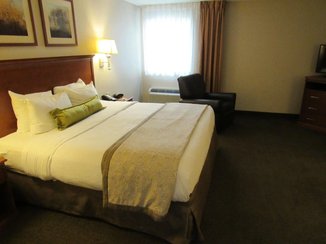 Double Studio Suite