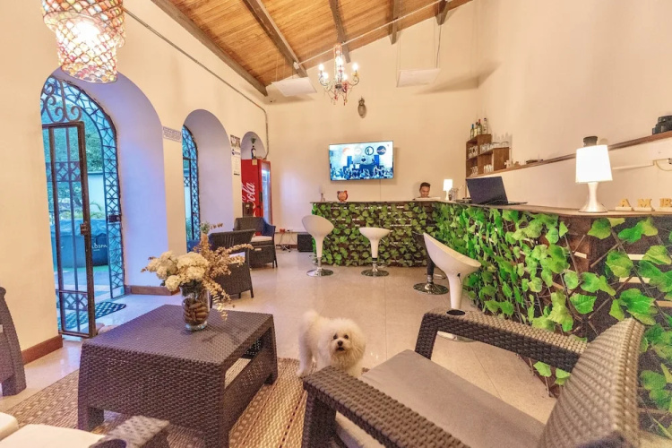 Ámbar Hostel  San Gil