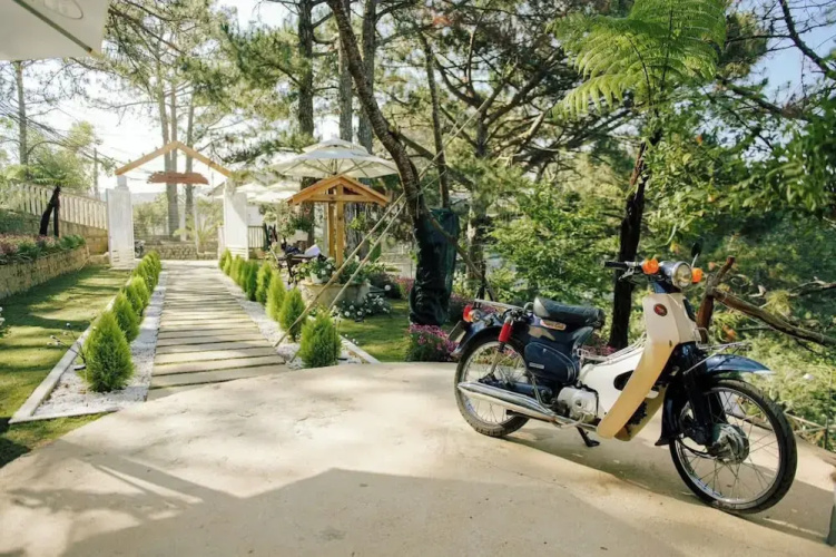Dong Homestay