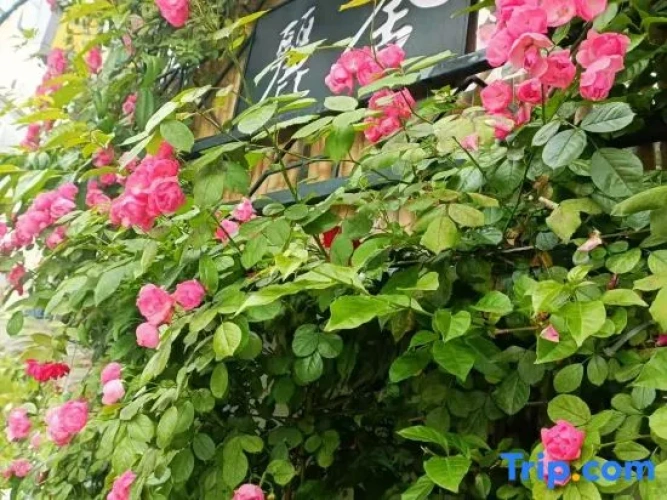 Outside