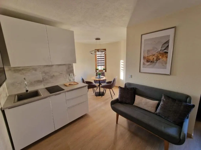 Apartment with garden view