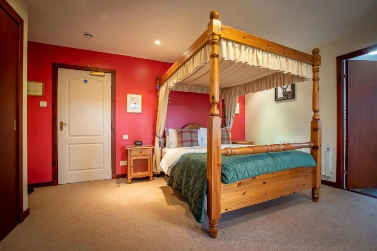 Standard Double room with mountain view