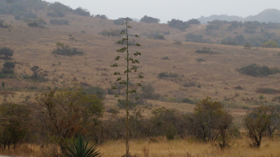 Klipspringer Lodge
