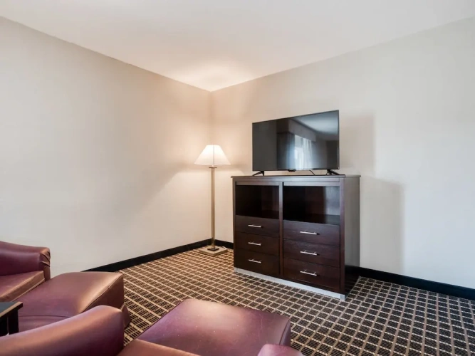 1 Bedroom Executive Suite