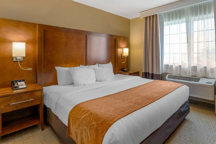 Business Double Suite