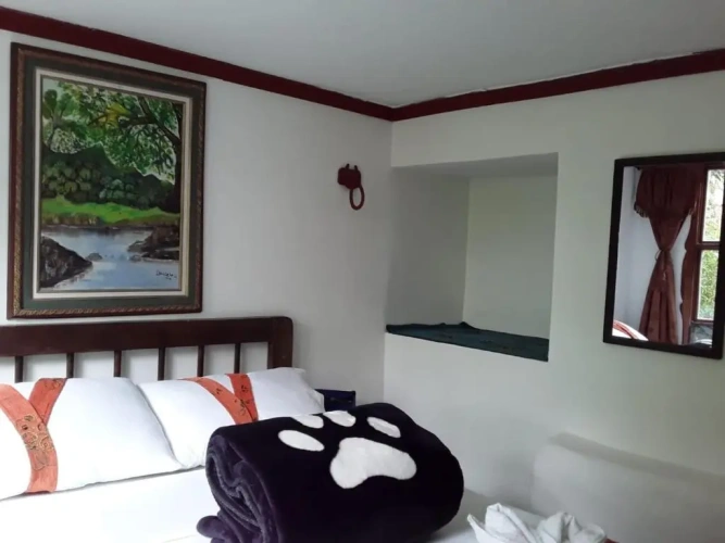 Standard Double room with garden view