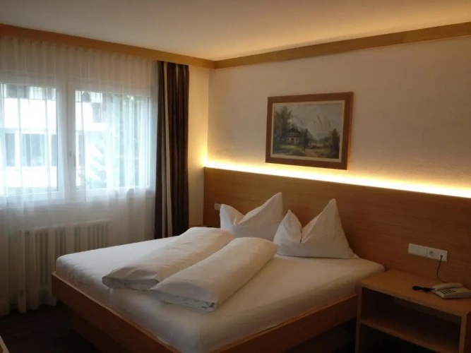 Standard Double room with mountain view