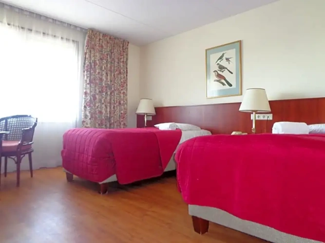 Standard Twin room with balcony and with view
