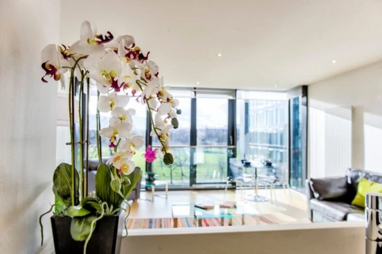 Luxury Quartermile Apart