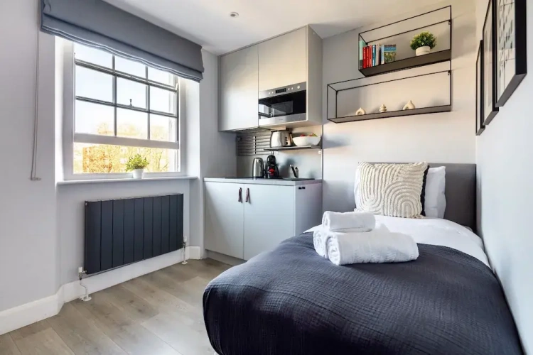 1 Bedroom Apartment with city view