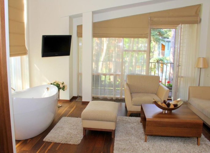 Studio with balcony and with view