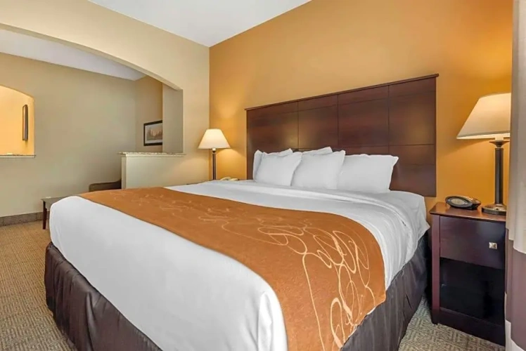 Standard Double Suite