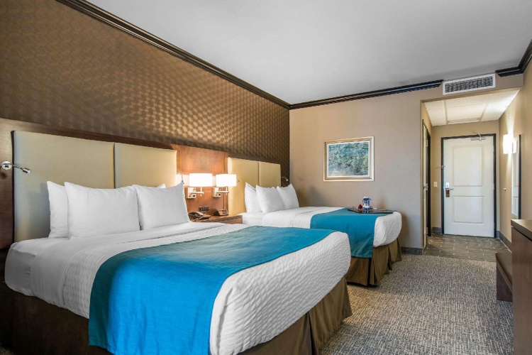 Quadruple Suite