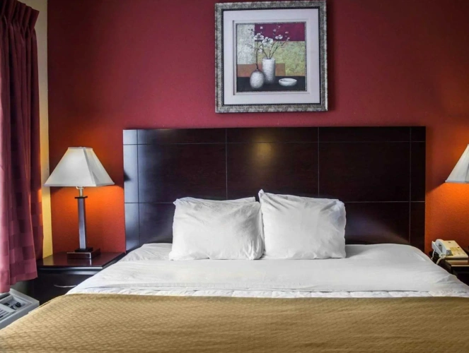 1 Bedroom Double Suite