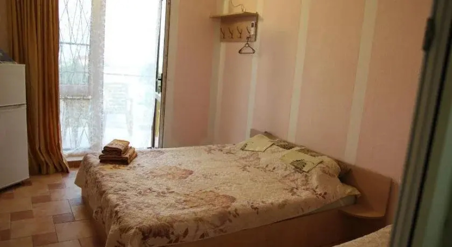 Hotel Novyi