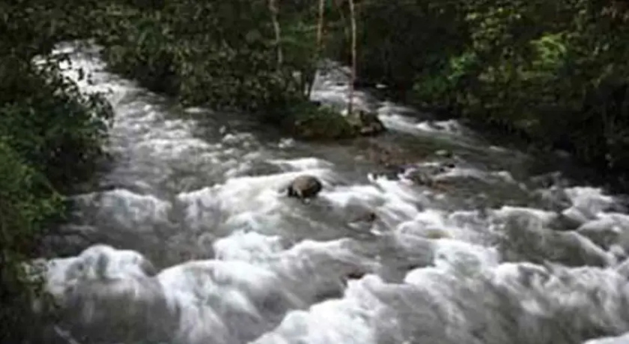 La Providencia de Mindo
