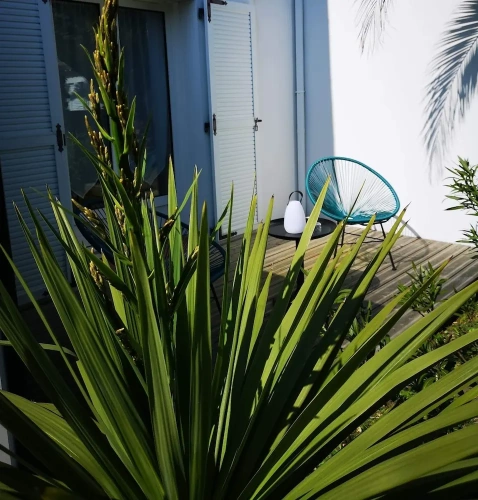 Comfort Double room with garden view
