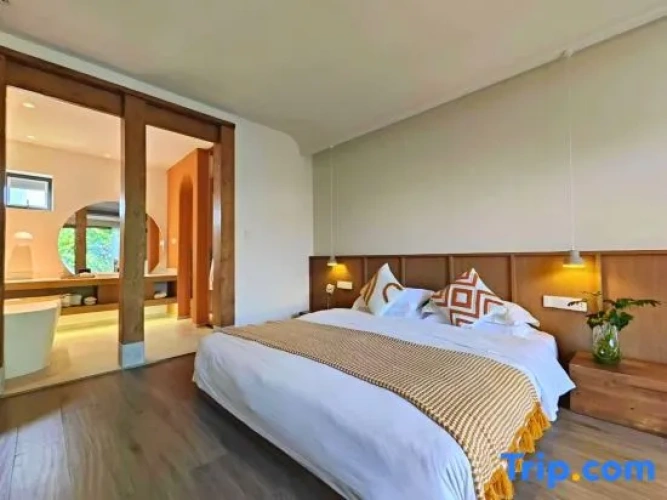 Deluxe Double room with courtyard view