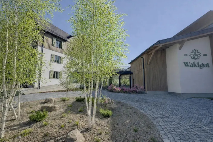 Waldgut Naturresort - Pirna
