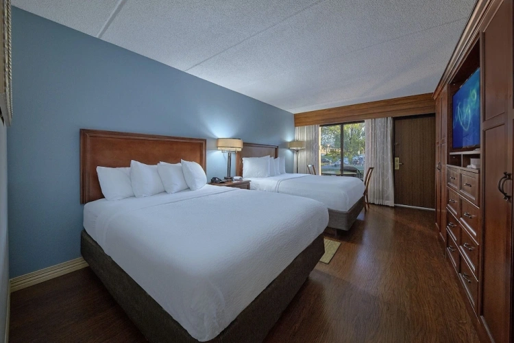 Standard Double room with balcony and with river view