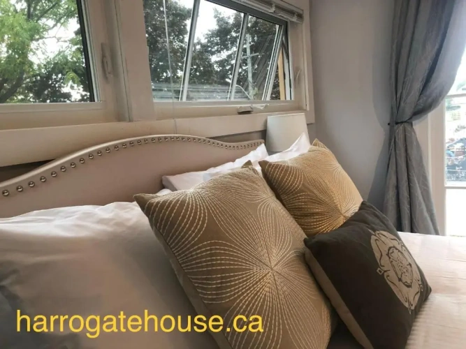Standard Double room with garden view