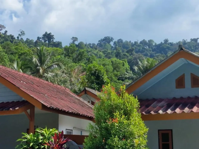 Standard Double room with garden view