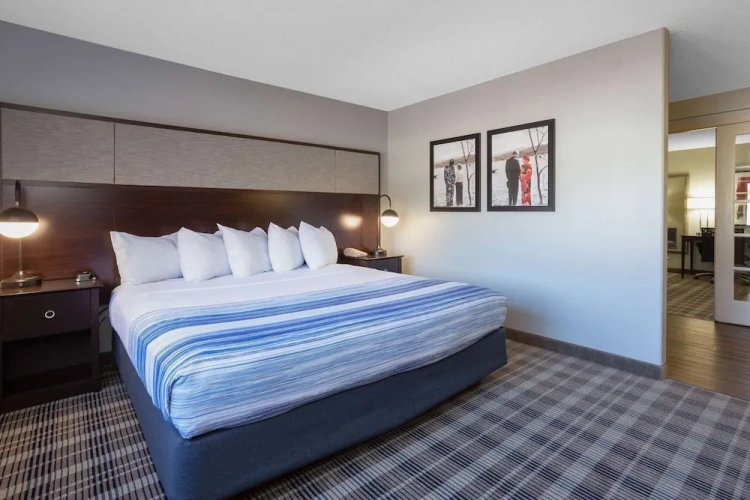 1 Bedroom Suite