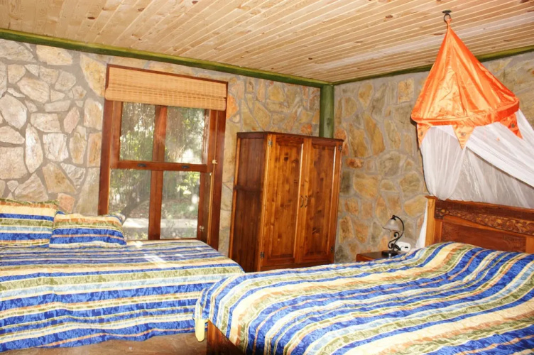 Lazy Lizard Boutique-Hotel
