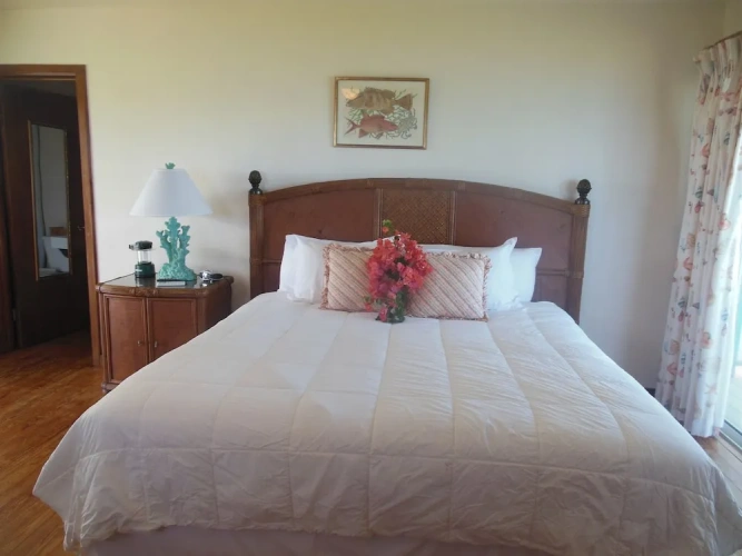 Standard room with balcony and with view