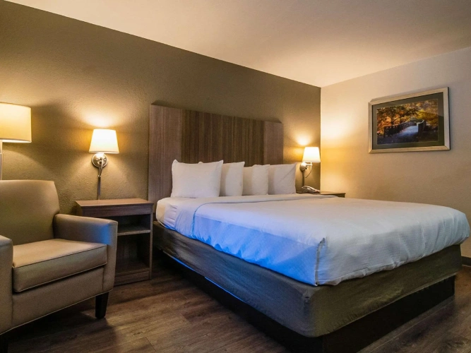 Standard Double room