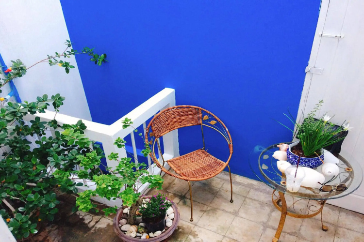 Deco Momo House
