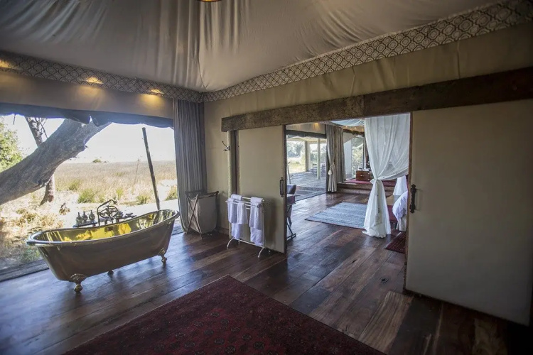 Duba Plains Camp