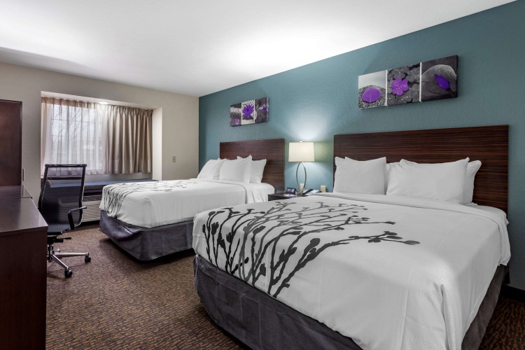 Standard Quadruple room