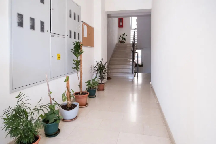 Apartment Filip