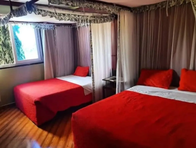 Standard Double Family room