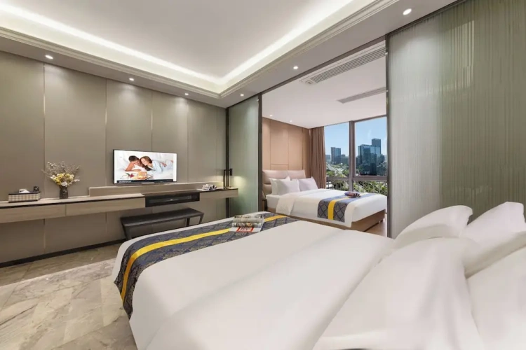 Executive Twin room with city view