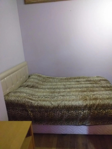 Apartment Omari