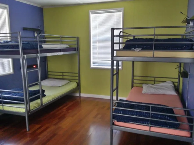 Bed in Dorm
