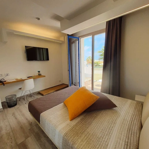 Standard Double Basement room