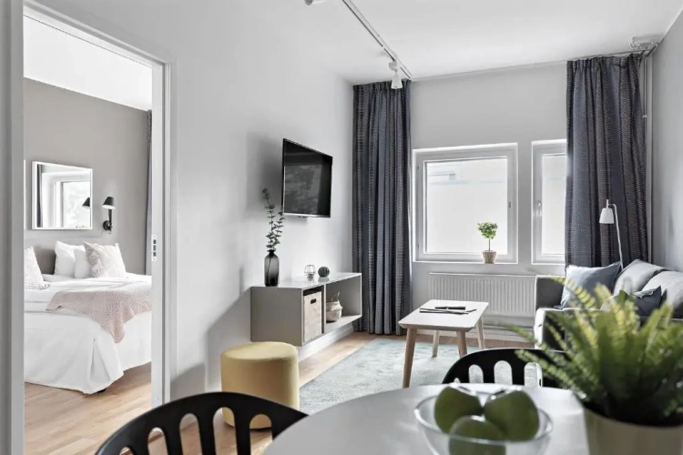 1 Bedroom Apartment