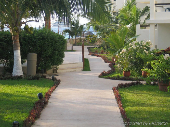 Petit Lafitte HotelOver view